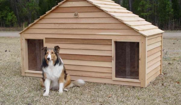 ابحث عن مستضيف موثوق لحيوانك