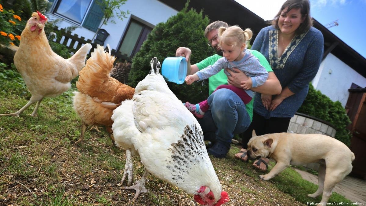 كل ما يحتاجه حيوانك في مكان واحد