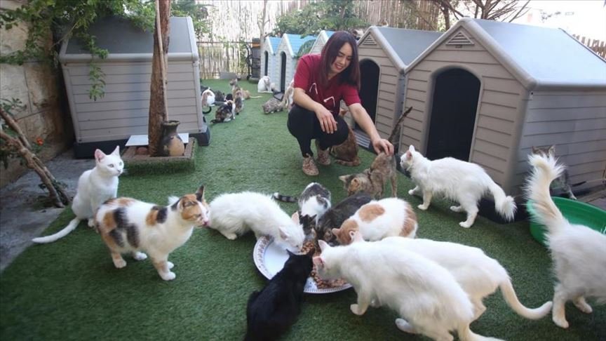 هنا مكان يجمع إناث و ذكور